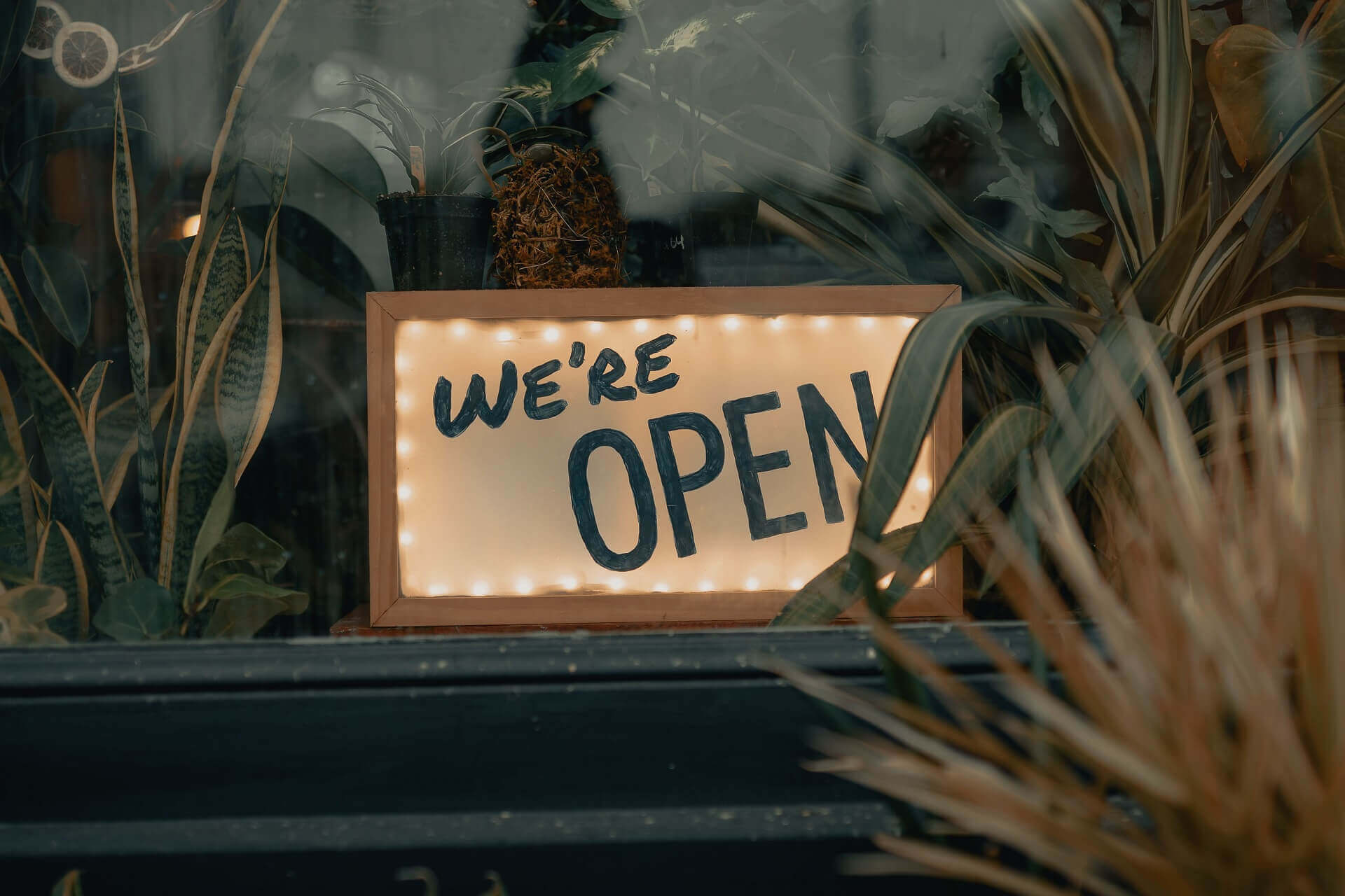 Sign in shop window saying we're open framed by lights and surrounded by plants,